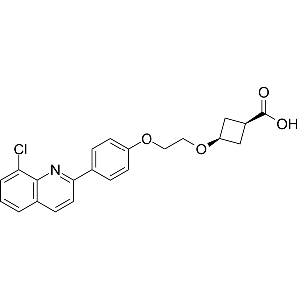 HBV-IN-16 2355225-38-4